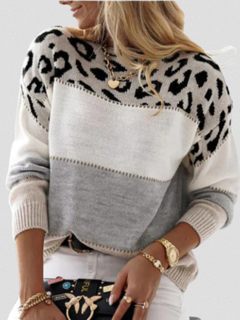 Elise Leopard Print Colorblock Sweater